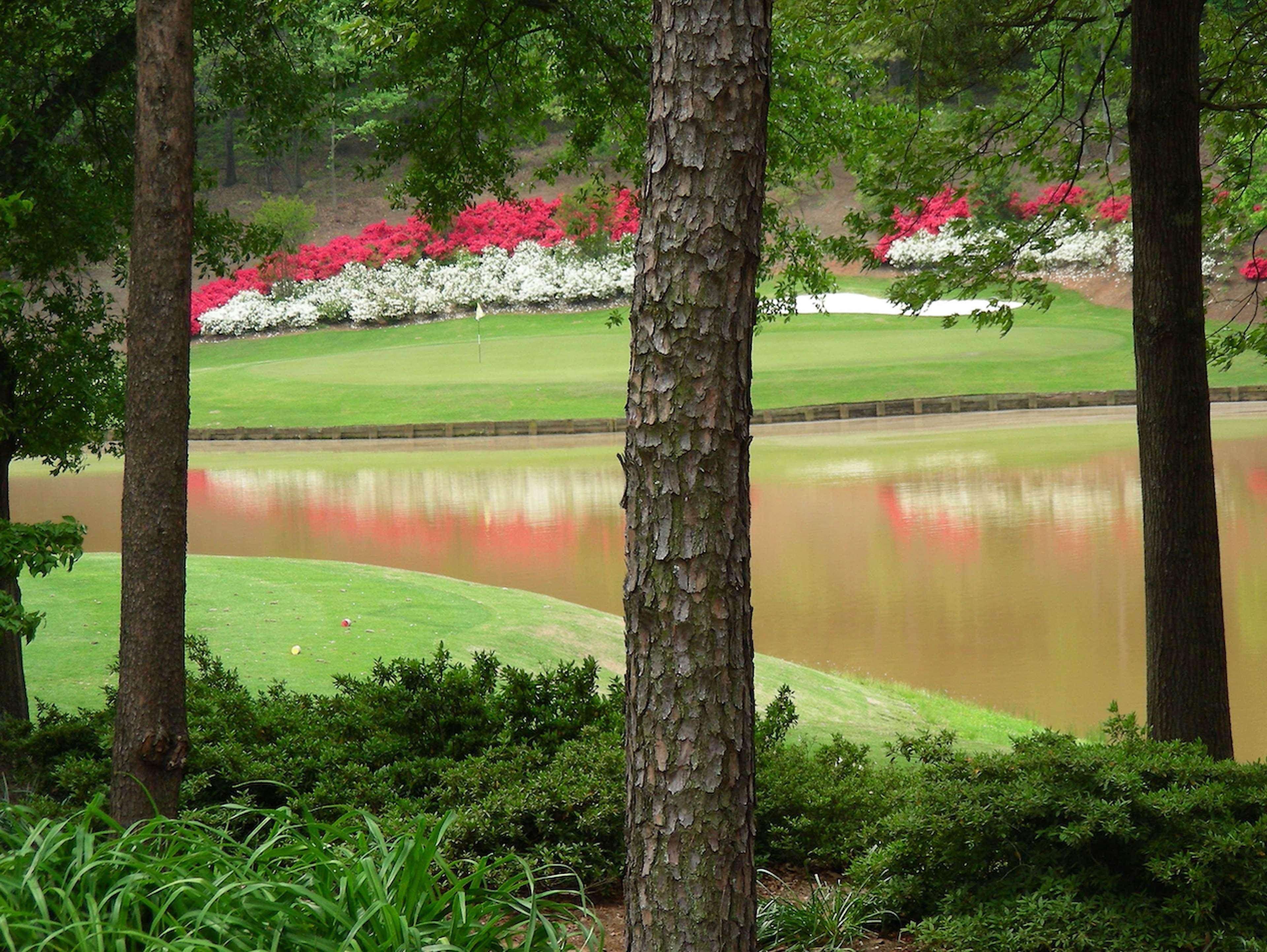 Embassy Suites Greenville Golf Resort & Conference Center Esterno foto